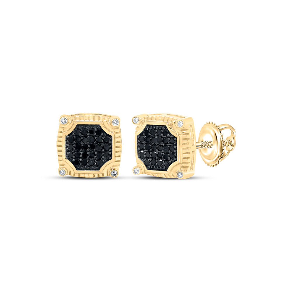 10kt Yellow Gold Round Black Color Enhanced Diamond Square Earrings 1/3 Cttw